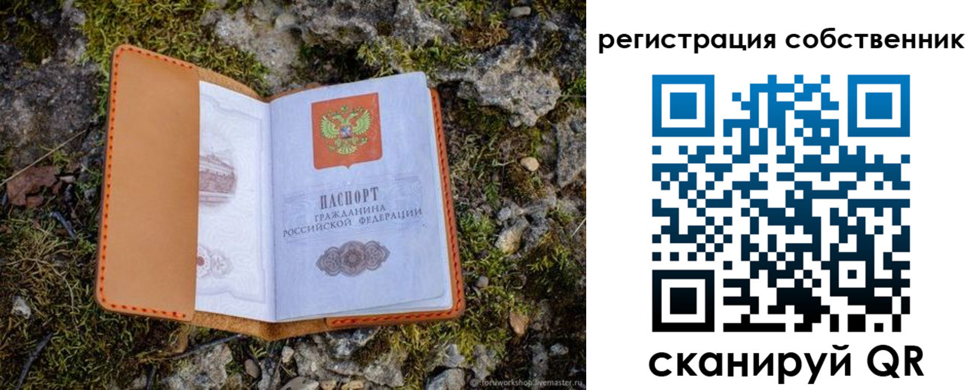 прописка поиск в Россоши